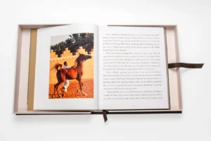Livre design haut de gamme Horses from Saudi Arabia par Assouline, édition en soie sous écrin, disponible chez D-Style Interior.