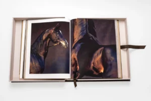 Livre design haut de gamme Horses from Saudi Arabia par Assouline, édition en soie sous écrin, disponible chez D-Style Interior.
