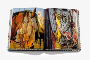 Livre design haut de gamme Moroccan Decorative Arts par Assouline, édition française sous étui lin, disponible chez D-Style Interior.
